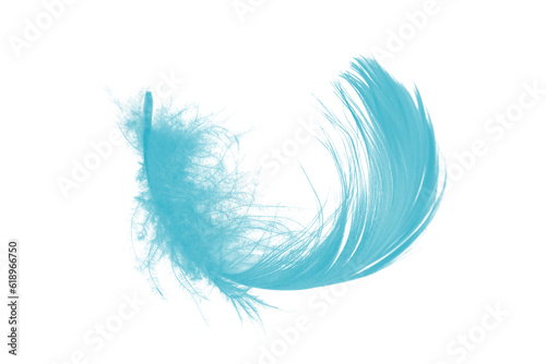 feather color turquoise emerald green isolated on white background