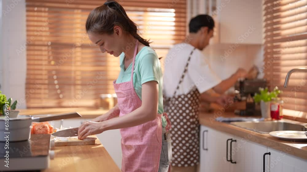 Happy Asian couple cooking dinner together in kitchen. Happy Asian couple cooking dinner together in kitchen.