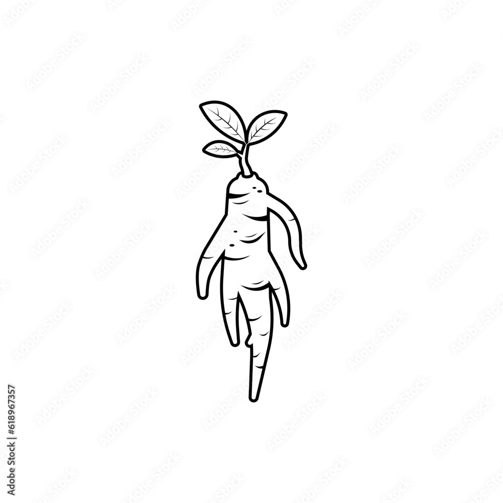 Ginseng root outline vector isolated on white background. Ginseng root outline vector isolated on white background.