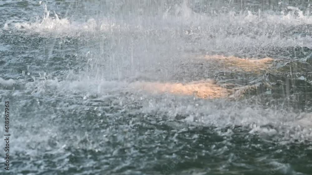 水面に落ちる噴水の水 水面に落ちる噴水の水