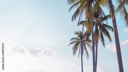 Tropical palm tree on blue sky with sun and cloud in summer background.