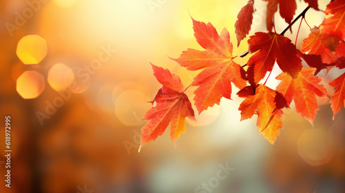 Red  orange  yellow leaves on bokeh background