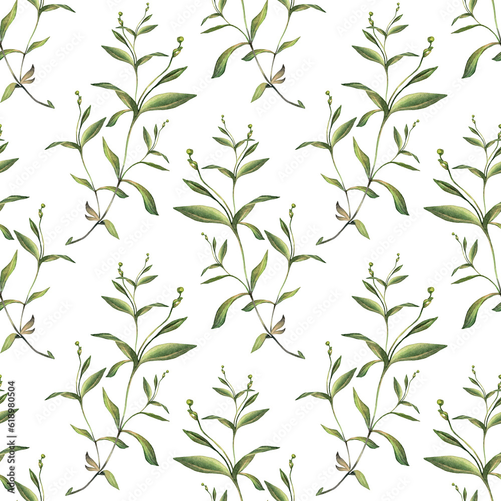 Seamless pattern with watercolor and digital green grass and leaves on white background. Hand-drawn bush with bud. Wallpaper for invite card, wedding celebration and sticker. Art for wrapping Seamless pattern with watercolor and digital green grass and leaves on white background. Hand-drawn bush with bud. Wallpaper for invite card, wedding celebration and sticker. Art for wrapping