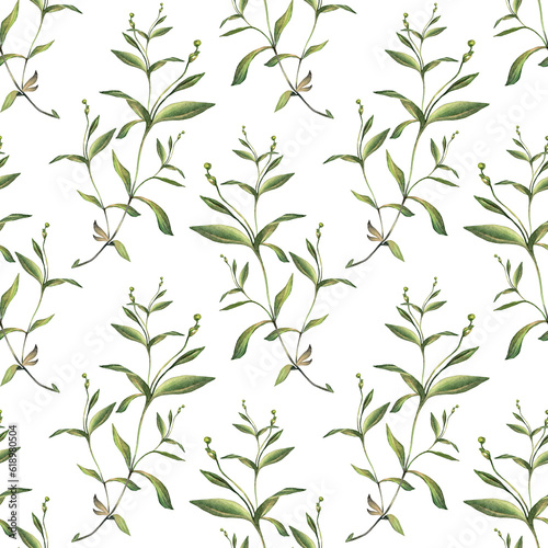 Seamless pattern with watercolor and digital green grass and leaves on white background. Hand-drawn bush with bud. Wallpaper for invite card, wedding celebration and sticker. Art for wrapping
