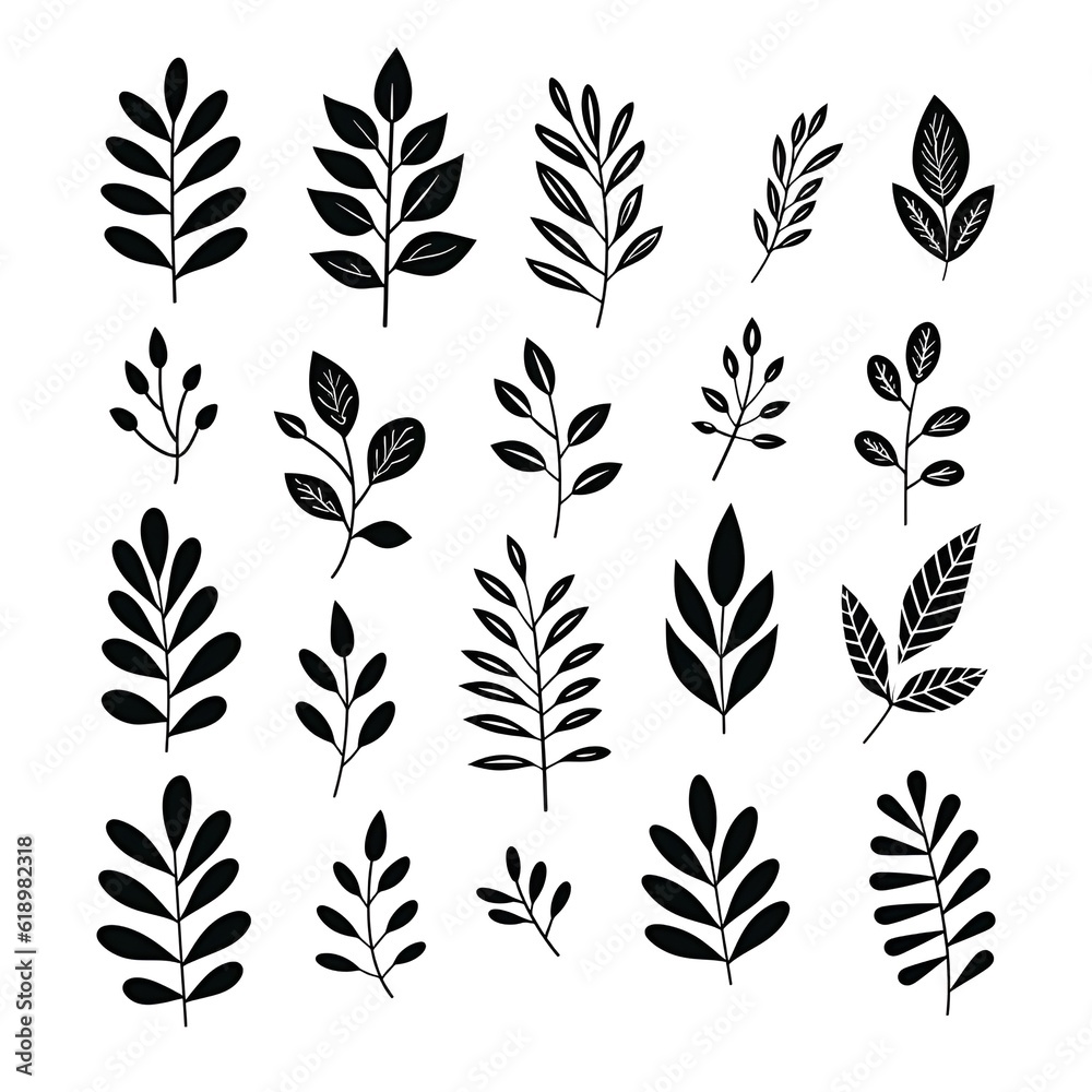 Serene botanicals: exploring the elegance of black and white plant leafs