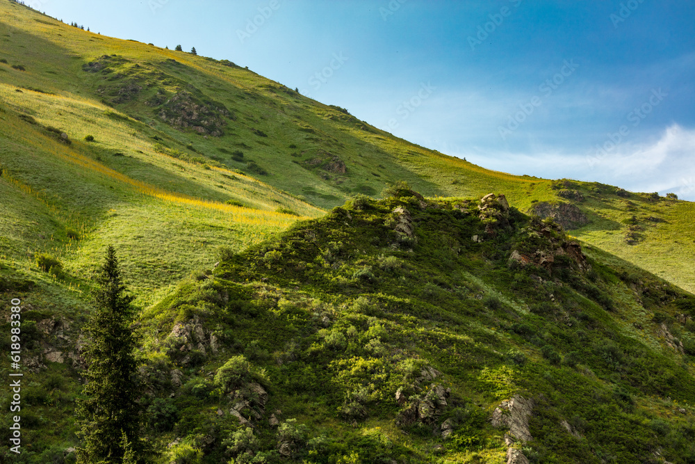 Fototapeta premium landscape with grass and clouds