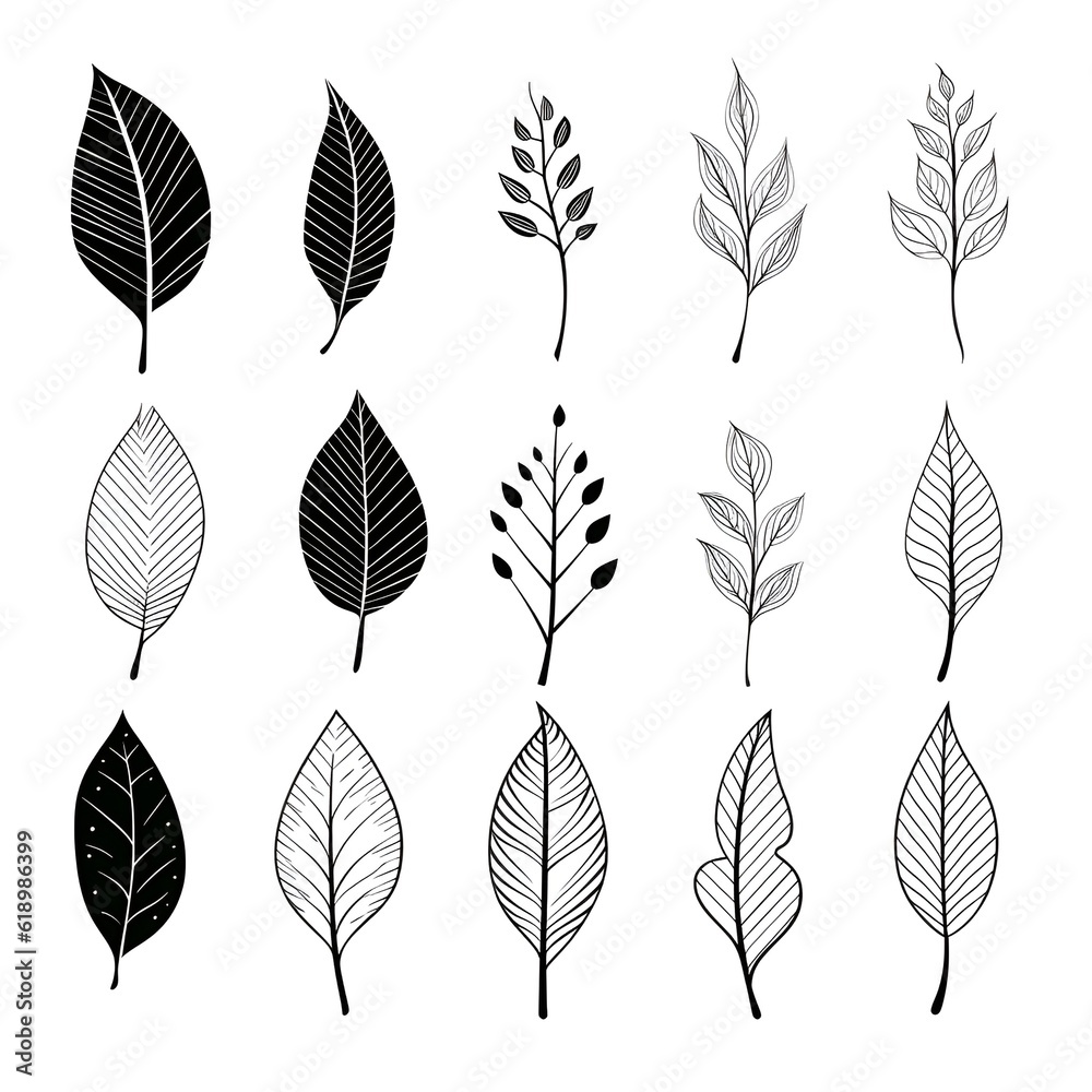 Monochromatic magic: exploring the enchantment of black and white botanicals