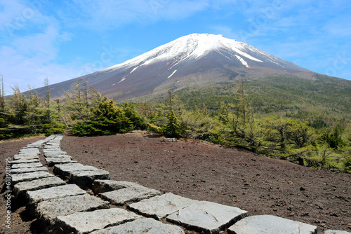 富士山、奥庭、奥庭自然公園、四～五合目（春から初夏の富士山）