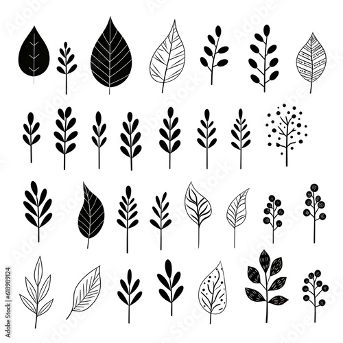 Captivating strokes: illustrating the allure of black and white botanicals