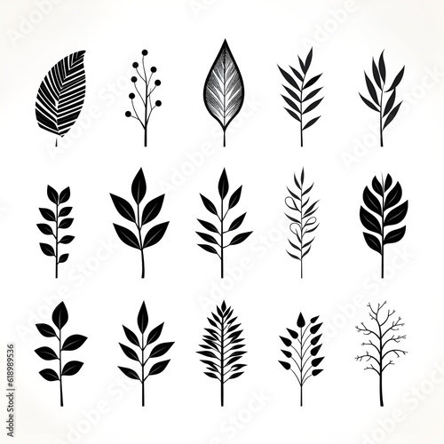 Black and white narratives: illustrating the stories of botanicals