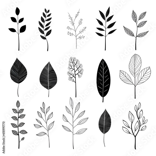 Sketches in monochrome: illustrating the beauty of black and white botanicals