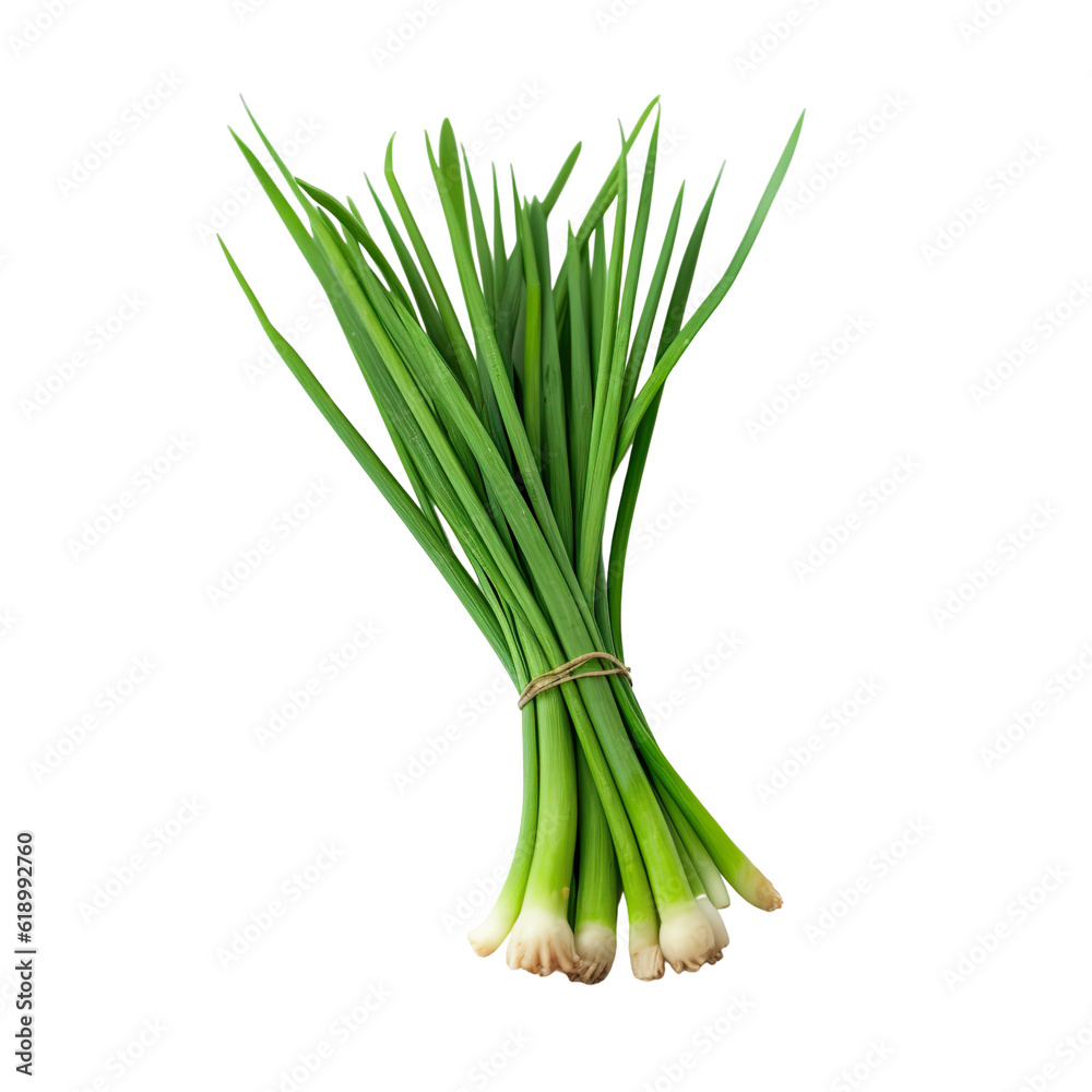 front view of chinese chives vegetable isolated on transparent white background front view of chinese chives vegetable isolated on transparent white background