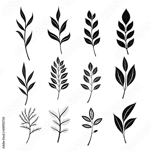 Graceful monochrome: illustrating black and white botanical leaves