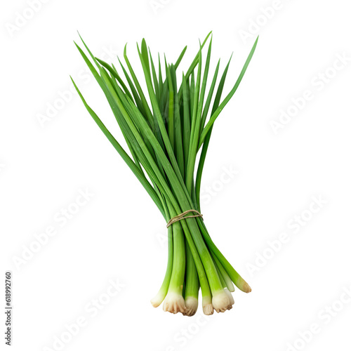 front view of chinese chives vegetable isolated on transparent white background