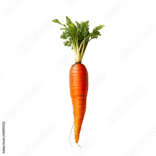 front view of Carrot vegetable isolated on transparent white background