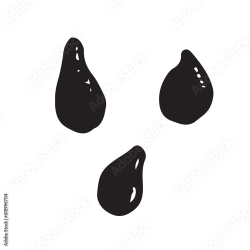 Black dragon fruit watermelon seeds set vector simple minimalist illustration