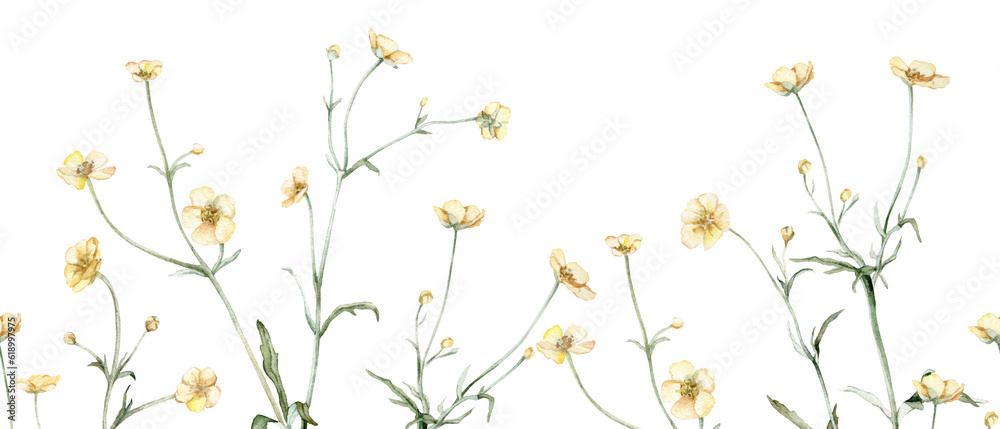 Seamless border of yellow flower meadow, forest flowers. Buttercup known as Ranunculus acris, sitfast, spearworts or water crowfoots.Watercolor hand painting illustration on isolate white background.