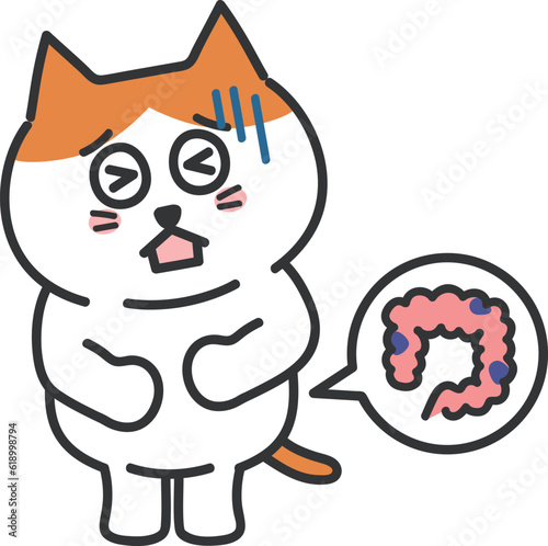 Cartoon orange tabby cat having lower abdominal pain, vector illustration.