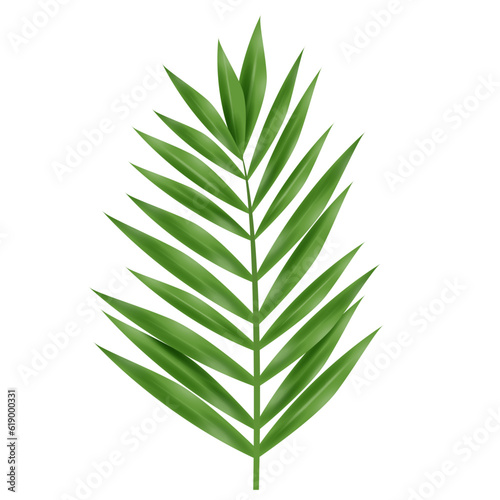 High Quality Tropical Leaf on White Background 3D Style
