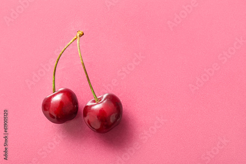 Sweet cherries on pink background