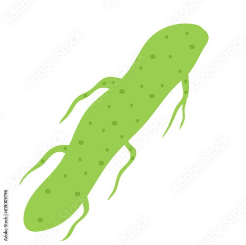 Plankton , Pytoplankton