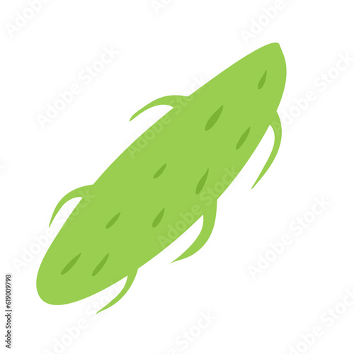 Plankton , Pytoplankton