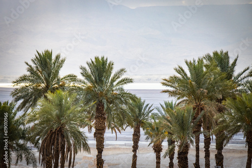 ein gedi, oasis, dead sea, palm trees, waterfalls, middle east, israel, beach, salt © Andrea Aigner