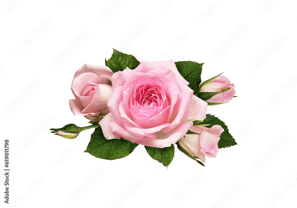 Pink rose flowers in a floral arrangement isolated on white or ...