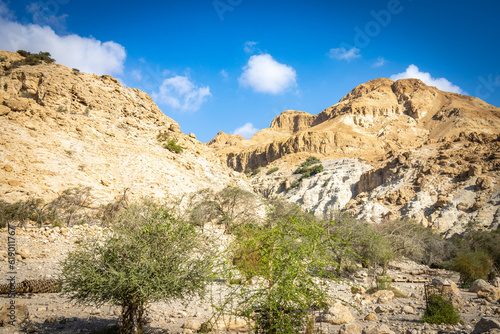 ein gedi, oasis, dead sea, palm trees, waterfalls, middle east, israel, beach, salt © Andrea Aigner