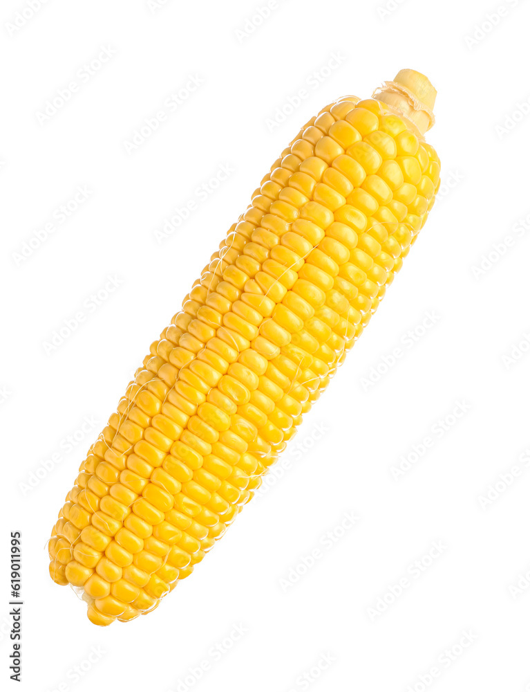 Fresh corn cob on white background Fresh corn cob on white background
