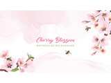 watercolor cherry blossom background