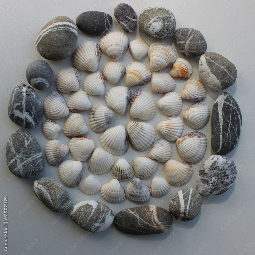 Circular pattern of lined shells inside a ring of sea stones square stock photo 
