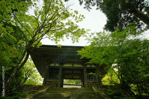 青もみじが映える初夏の西明寺 （滋賀県犬上郡甲良町, 2022年5月） © i_moppet