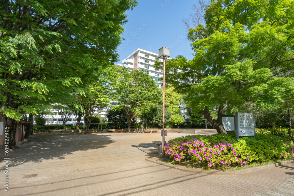 Fototapeta premium 東京都西東京市柳沢、しじゅうから公園
