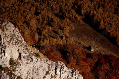 Drone view of the fall scene of the Apuseni mountains full oftrees in the daytime in Romania