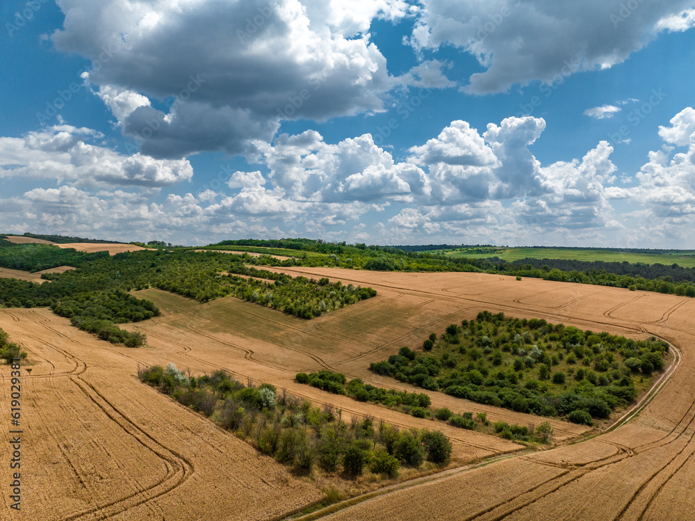 aerial view of wheat fields and green forest under cloudy sky