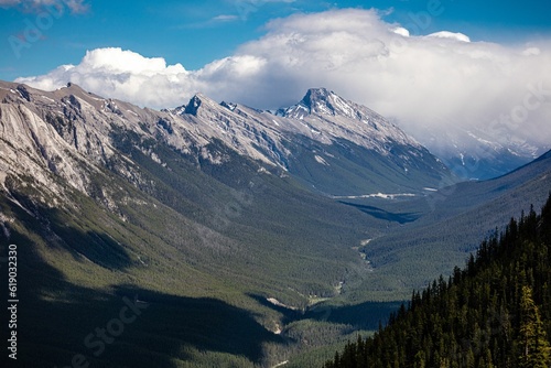 Scenic view of a green valley surrounded by rocky mountains. Banff National Park  Alberta  Canada.