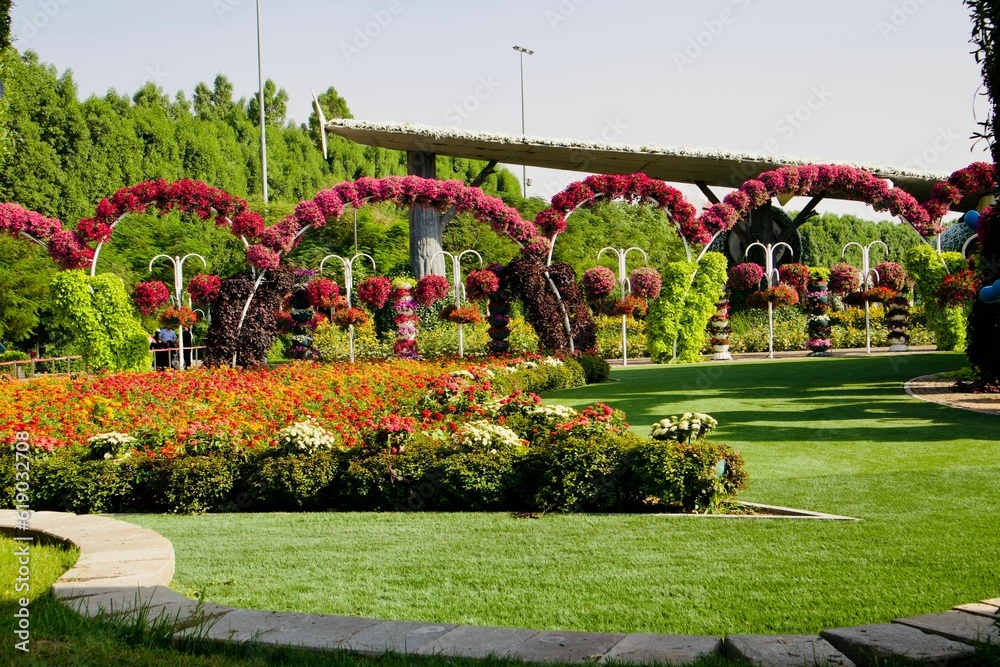 Obraz premium View of vibrant flowers in a green park on a sunny day