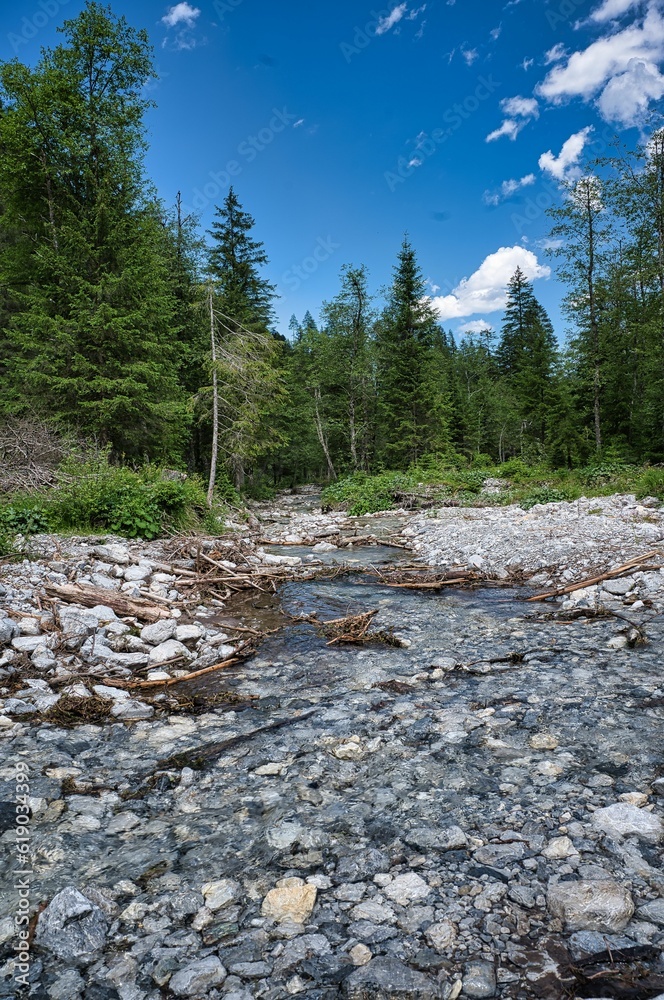 Vertical shot of a shallow creek in the green mountain forest of Radstadt Tauern range, Austria