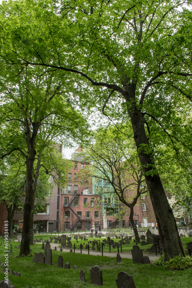 Vertical shot of green trees in graveyard with buildings in the background in Boston, Massachusetts