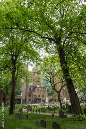 Vertical shot of green trees in graveyard with buildings in the background in Boston, Massachusetts