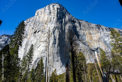 Scenic view of El Capitan Mount in Yosemite Park, California on a sunny day photo