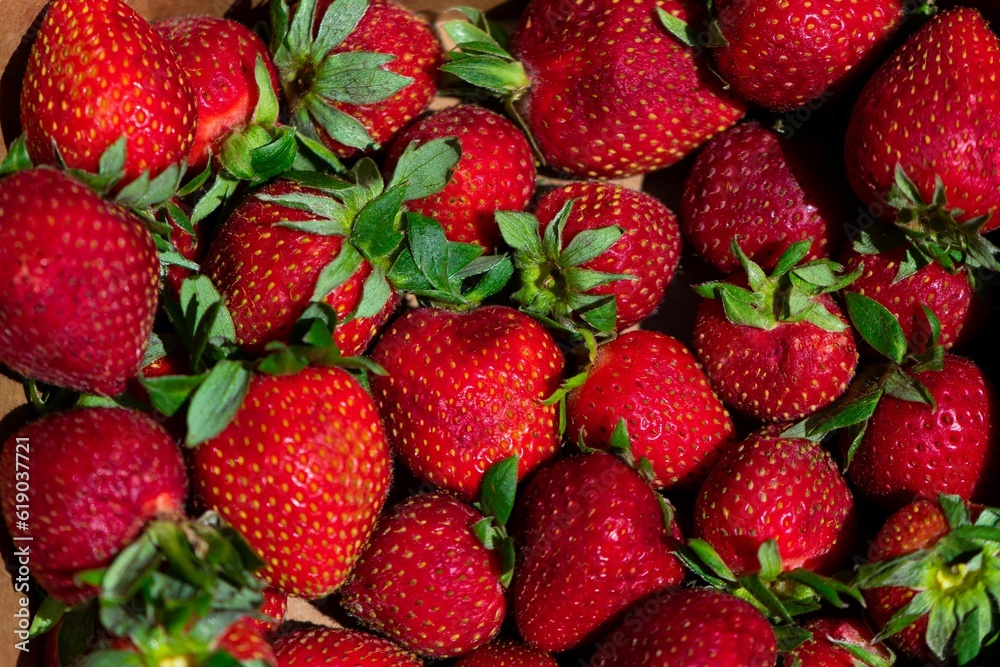 Closeup shot of ripe, juicy strawberries.