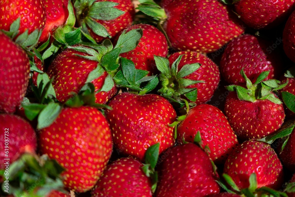 Closeup shot of ripe, juicy strawberries. Closeup shot of ripe, juicy strawberries.