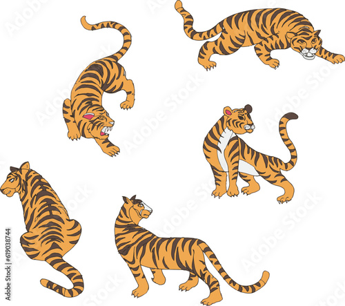 Set of adult big tiger wildlife and cartoon animal design flat vector illustration isolated on white background