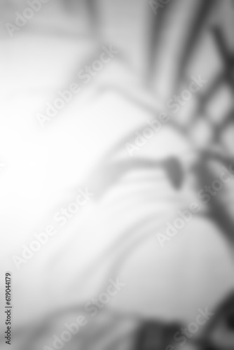 abstract palm leaf shadow texture overlay