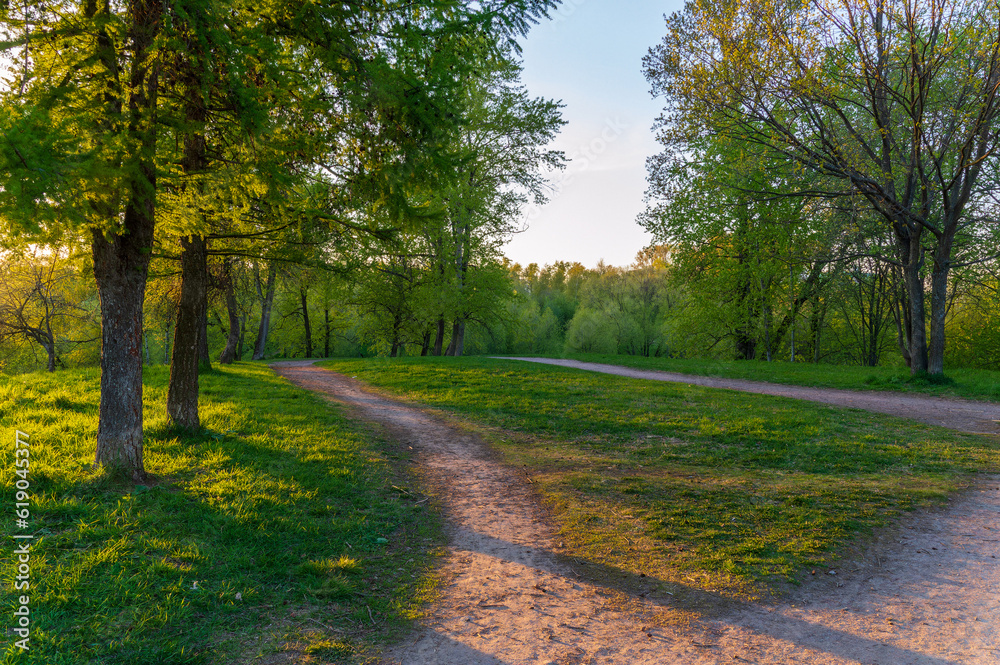 A path in a spring park A path in a spring park
