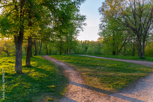 A path in a spring park