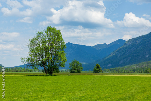 green vally and forest in the mountains photo