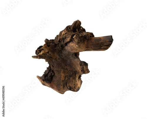Abstract natural root isolated element